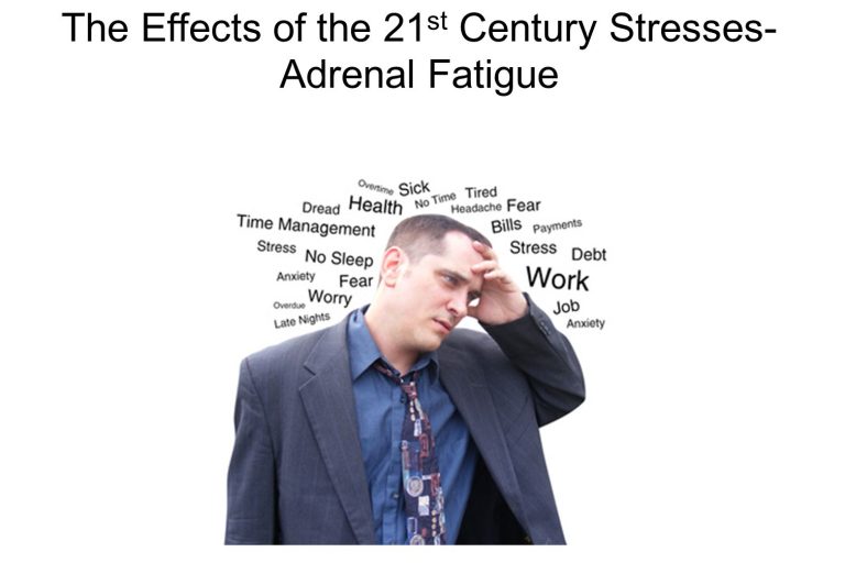 The Effects of the 21st Century Stresses The Effects of the 21st Century Stresses