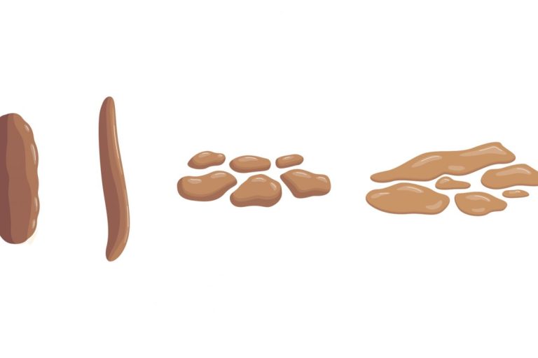 shutterstock_1967206957 (1)